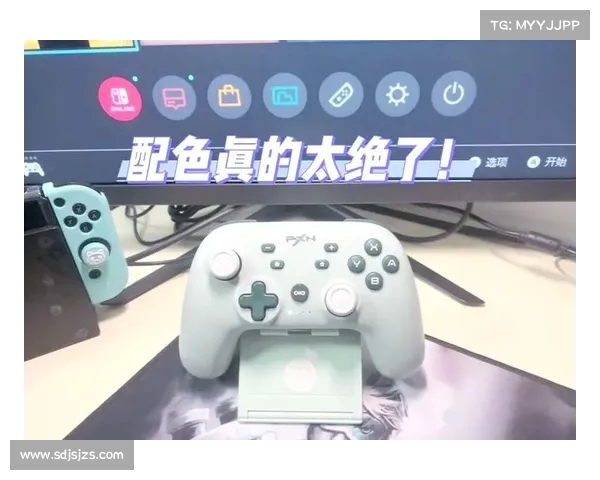 Switch体感游戏推荐:最适合的第三方手柄选购指南 Switch体感游戏推荐:最适合的第三方手柄选购指南